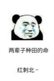 第九农学基地全文阅读