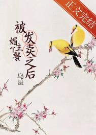 媚主丫鬟被发卖之后全文阅读