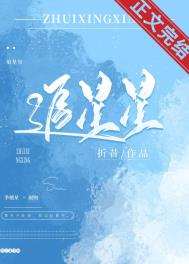 追星星全文阅读