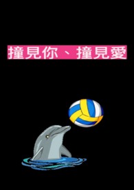 撞见你、撞见爱全文阅读