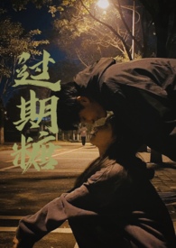 过期糖(破镜重圆H)全文阅读