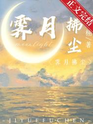 霁月拂尘全文阅读