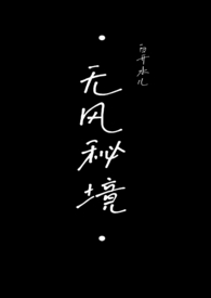 无风秘境全文阅读