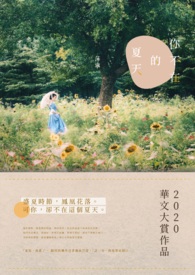 你不在的夏天全文阅读