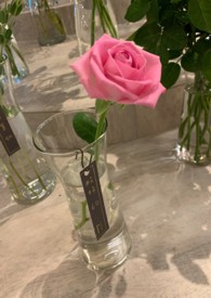 盛夏荼蘼全文阅读
