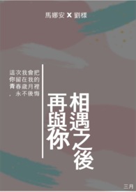 再与你相遇之后全文阅读