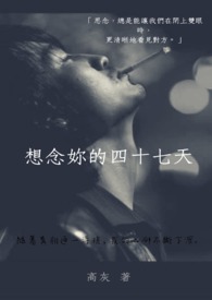 想念你的四十七天全文阅读