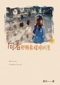 向着那颗最耀眼的星全文阅读