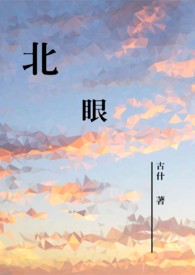 北眼全文阅读