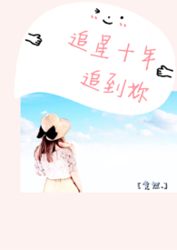 追星十年追到你全文阅读