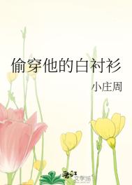 偷穿他的白衬衫全文阅读