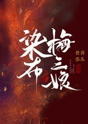 染布梅三娘全文阅读