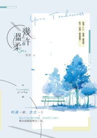 几许温柔全文阅读