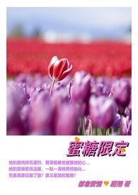 蜜糖限定全文阅读