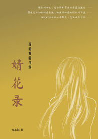 婧花录全文阅读