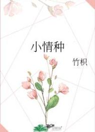 小情种全文阅读