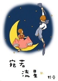 宛若流星全文阅读