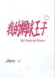 我的网球王子全文阅读