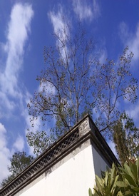 一念之间(骨科H)全文阅读