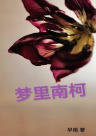 梦里南柯全文阅读