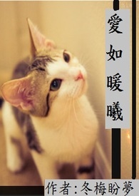 爱如暖曦全文阅读