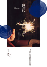 烟花全文阅读