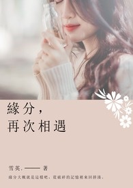 缘分,再次相遇。全文阅读