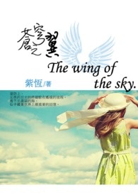 苍穹之翼全文阅读