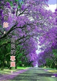 只有你,是我的专属。全文阅读