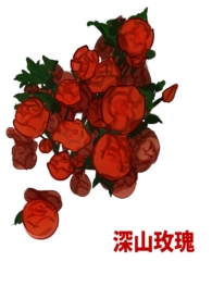 深山玫瑰全文阅读