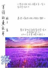 等待的薰衣草全文阅读