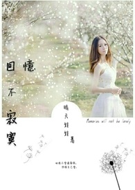 回忆不寂寞全文阅读