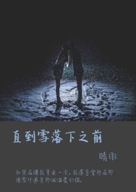 直到雪落下以前全文阅读