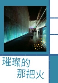 璀璨的那把火全文阅读