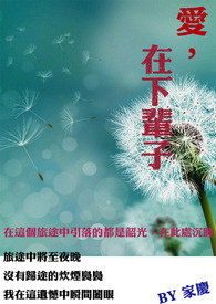爱,下辈子全文阅读