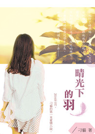 晴光下的羽全文阅读