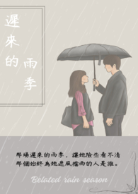 迟来的雨季全文阅读