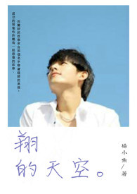 翔的天空全文阅读
