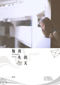 她消失的那天全文阅读