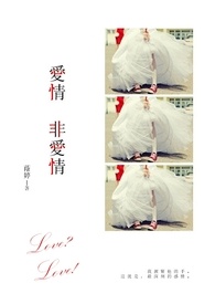爱情,非爱情全文阅读