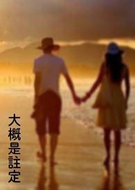 大概是註定全文阅读