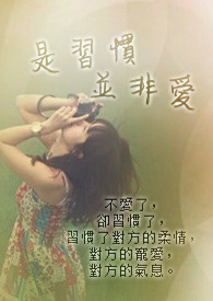是习惯并非爱全文阅读