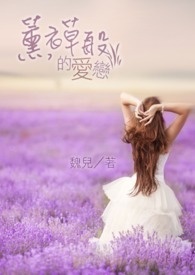 薰衣草般的爱恋全文阅读