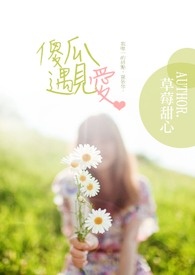 傻瓜遇见爱全文阅读
