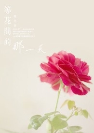 等花开的那一天全文阅读