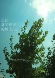 走往那年夏天的路上全文阅读
