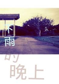 下雨的晚上全文阅读