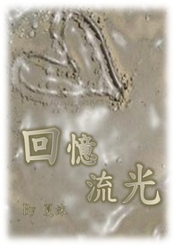 回忆流光全文阅读