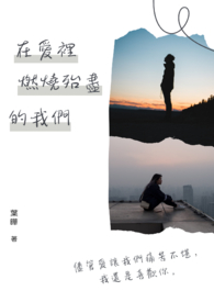 在爱里燃烧殆尽的我们全文阅读