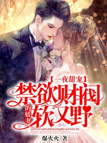 一夜甜宠:禁欲财阀的娇妻软又野全文阅读